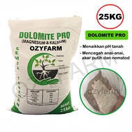 25KG Original Dolomite Pro Kapur Pertanian kapur perikanan gml