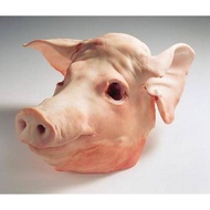 Kepala babi mentah utuh segar / fresh pig head (daging babi fresh kualitas supermaket) per pcs