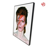 DAVID BOWIE POSTER MUSIC POSTER/ HOME DECOR/ 538
