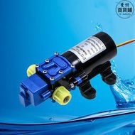 微型電動自吸隔膜泵 高壓清洗水泵  12V直流洗車水泵