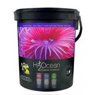 D-D H2Ocean Classic Formula Salt