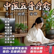 Nourishing Sleep Aid Light Music U Disk High-Quality Classical Guzheng Guqin Pipa Pure Music Chinese