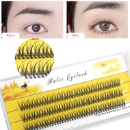 Natural Soft False Eyelashes 20D 30D 40D 8-14mm C/D Roll False Eyelashes Extension 60 Clusters in a 