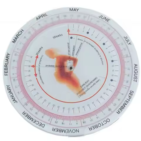 Gestation Calculator wheel pregnancy goniometer expected date of birth ruler 10 pcs /lot!
