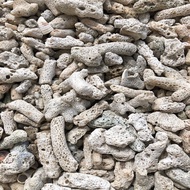 Bahan Penapis Kolam Ikan Bahan Penapis Karang Tangki Ikan Landskap Bawah Pasir Batu Karang Akuarium 