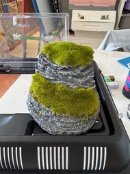 烏龜水箱