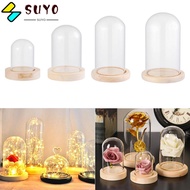 SUYOU Plants Jar Transparent Bottle Terrarium Glass Vase Glass cloche