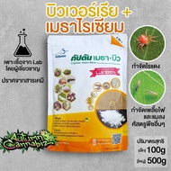 [ ส่งฟรี ] บิวเวอร์เรีย + เมธาไรเซียม เชื้อราดี ชนิดผง 100กรัม (Metharisium & Beauveria) กำจัดไรแดง 