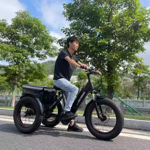 3 Wheel Electric Bike Fat Tire Electric Bike 20 26 inch 36V 48V 250W 350W 500W 750W Electric Tricycl