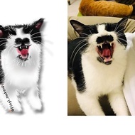 電繪-客製寵物貓狗畫像委託肖像畫 毛孩紀念似顏繪(貓咪喵/賓士貓