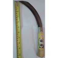 DIAMOND STAX(SADAT PADI/ RUMPUT)(MEMPUNYAI MATA SERUPA GERGAJI)(SEBE)