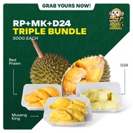 【TRIPLE MIX BUNDLE】[Klang Valley Fresh Durian]  Pahang Highland Musang King & Red Prawn & Mountain T