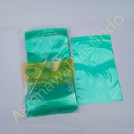 HIJAU Plastic clip 12x20 cm 12 x 20 SMPI ziplock 20x12 zipper green plain clip