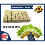 (READY STOCK) Rockwool Hydroponic