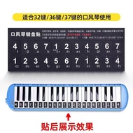 Mouth Keyboard Key Sticker Keyboard Post 37 Keys 32 Keys 36 Keys 27 Keys Chimei Phonetic Symbol Stic