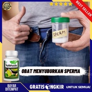 KELOREENA Obat Atasi Mani Encer Pria Obat Agar Sperma Subur Mengentalkan Pengental Sperma Azoospermi