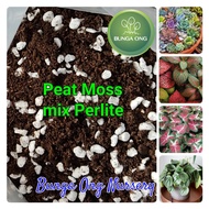 Peat Moss (Import) mix Perlite / tanah semaian campuran perlite