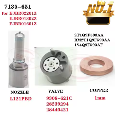 ERIKC Repair Kit 7135-651 Nozzle L121PBD Valve 9308-621C for EJBR02201Z EJBR01302Z EJBR01601Z 1S4Q9F