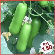 M2 Biji Benih Labu Air（12ps +/-）/ Bottle Gourd Seeds / 蒲瓜种子 / Vegetable Seeds / Biji Benih Sayur / 蔬菜种子