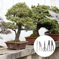 Bonsai Tool Set Kit Carbon Steel Bonsai Scissors Rake Branch Cutter Pruning Shears Pliers Garden Too