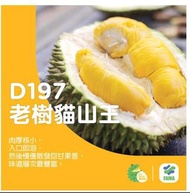 D197 貓山王榴槤冰果肉(A級)