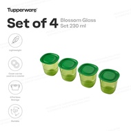 Tupperware Blossom Glass Set 230 ml | Set of 4 | Durable & Lightweight