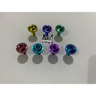 [TITANIUM]TITANIUM BOLT BIG HEAD M6x15 M6x20 GRADE 5 VIETNAM