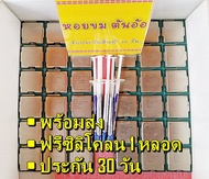 CPU Intel Gen4 [ Socket 1150 ] [ Pentium G ] [ Core i3 i5 i7 ] [ DDR3 ] แถมฟรีซิลิโคลน 1 หลอด ประกัน