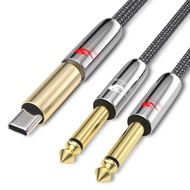 GOLLEY LION USB C to Dual 6.35mm 1/4 inch Stereo Splitter Y Cable USB Type C to Dual 6.35mm 1/4 inch