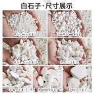 Flower Pot Stone Oval 60kg Courtyard Made Noodle Paving Meat Natural Stone Small White Gardening Sto