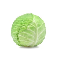 Fresh Cabbage /Sayur Kubis