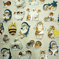 READY CAT STICKERS Cute kitten stickers, meme cat stickers, waterproof cat stickers, table stickers,