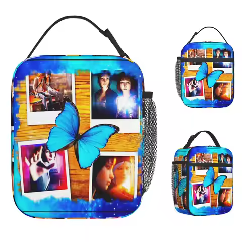 Pricefield Max &Chloe Life Is Lunch Bag Outdoor Picnic Lunch Box Designer Tote Food Bags Waterproof 