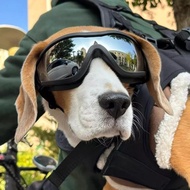 7H Fast Shipping Pet Sunglasses Dog Glasses Eyes Eye Protection