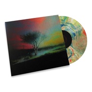 (等返香港中， 可留名排隊) Joji - Piss In The Wind (美國 Indie 限定 (幻彩色) LP 黑膠唱片)