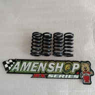 Rxking racing clutch spring ( channelMMI)