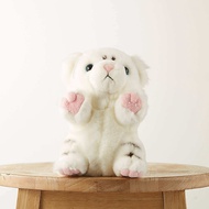 Everland Baekho New Baby Doll Special: Everland Official Online Store