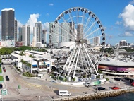 Miami 5 in 1 City Tour: 5 Sites, 4 Stops, 3.5 hours of Fun