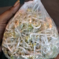 Tauge Kacang Hijau  500 gr