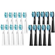 Seago Replacement Toothbrush Heads for Seago SG-575/507B/551/958/908/909/917/610/659/719/910/548 Ele