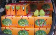 西湖 文旦柚 禮盒 10斤 預購