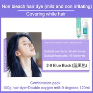 Hair color dyepopular hair dye creamno need to bleach and no harm to hair Healthy Mild No Stimulatio