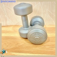 Bigpromo potence plastic dumbbell 2kg barbell 2 kg dumbbell 2kg weight lifting tool 2kg fitness equi
