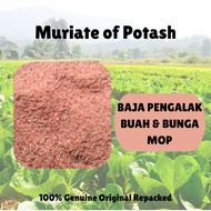 Muriate of Potash (MOP)/Pottasium Chloride/KCL (K60%) Baja Penggalak Bunga/Buah (Repack 1kg/2kg)