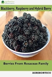Blackberry, Raspberry and Hybrid Berry AGRIHORTICO