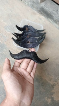jebres uwel jaranan kumis palsu