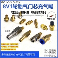 M8/M10 Threaded Nozzle Container Air Storage Tank Nozzle Car Tire Expansion Water Tank Nozzle 8V1 No