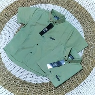 HIJAU KEMEJA Boys' Shirts Ages 2s/d10 years Boys' Sage Green Shirts Plain Sage Children's Shirts Kem