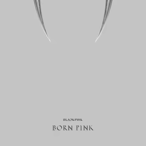Blackpink - Born Pink / 2Nd Full Album Box Set (Gray Ver.)