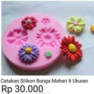 MATAHARI Sunflower print 7 sizes